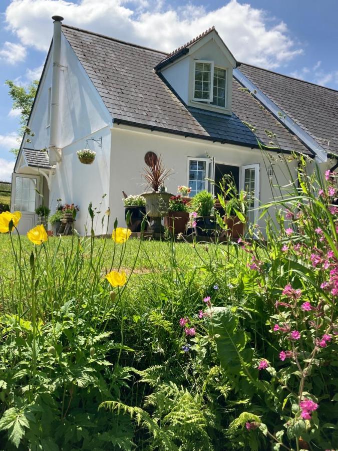 Cargibbitt Annexe Villa Liskeard Exterior photo